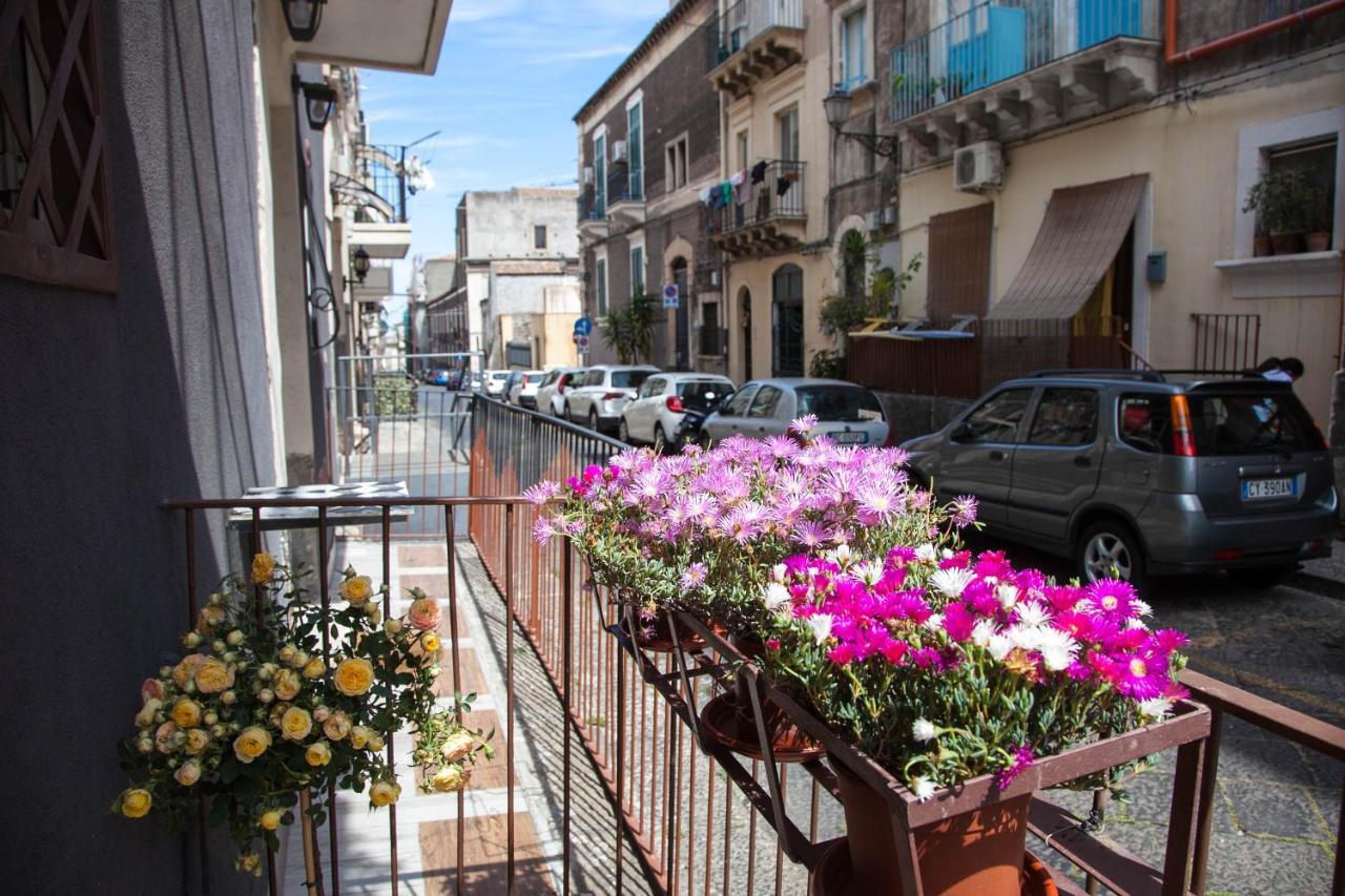 La Casetta In Centro By Sicily In Home Κατάνια Εξωτερικό φωτογραφία